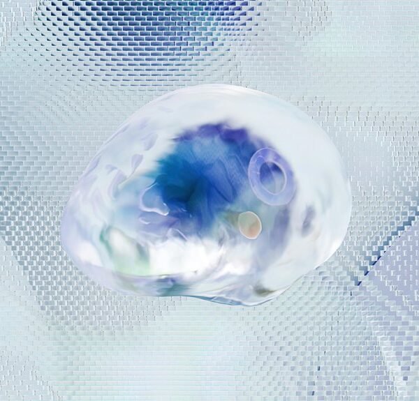 Advanced Intelligence Profile for 692934204, 961125019, 23998651, 477700173, 944341993, 649812734