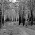 macro analytics framework overview