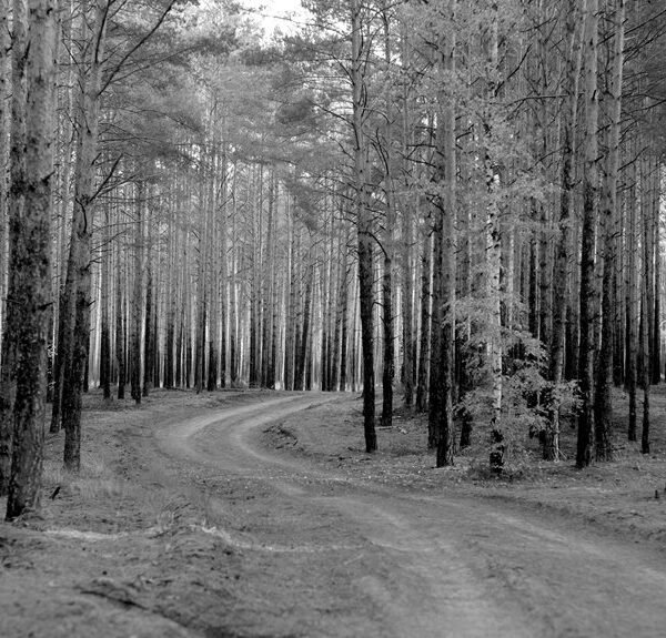 Macro Analytics Framework for 8078018225, 120440324, 7207805990, 604146475, 944770026, 8008766267