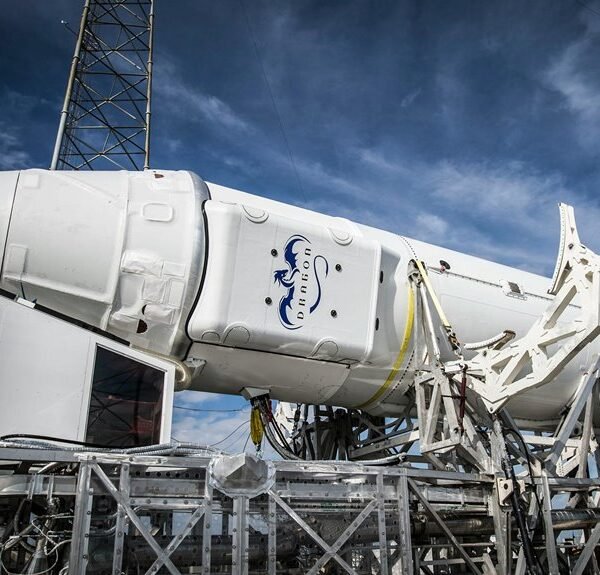 Develop Your Services 678167478 Online Platform