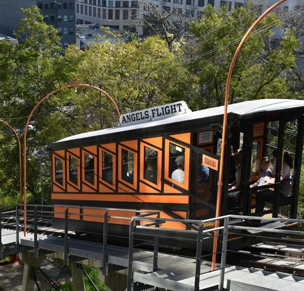 Elevate Your Marketing 120543919 Online Platform