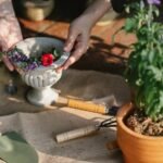 growth through digital tools