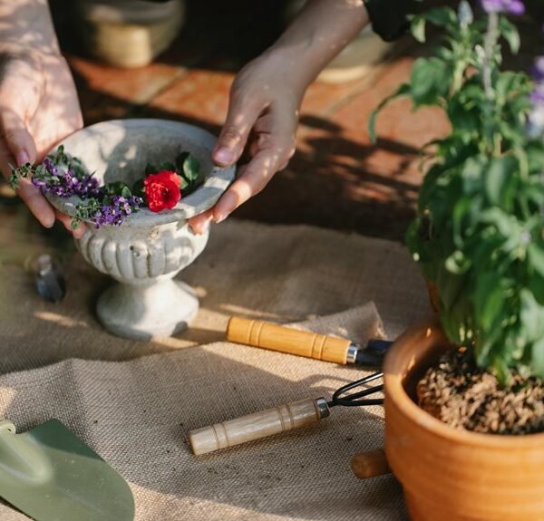 Optimize Your Growth 478546893 Digital Tools