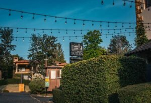 innovative web hub digital suite identifier