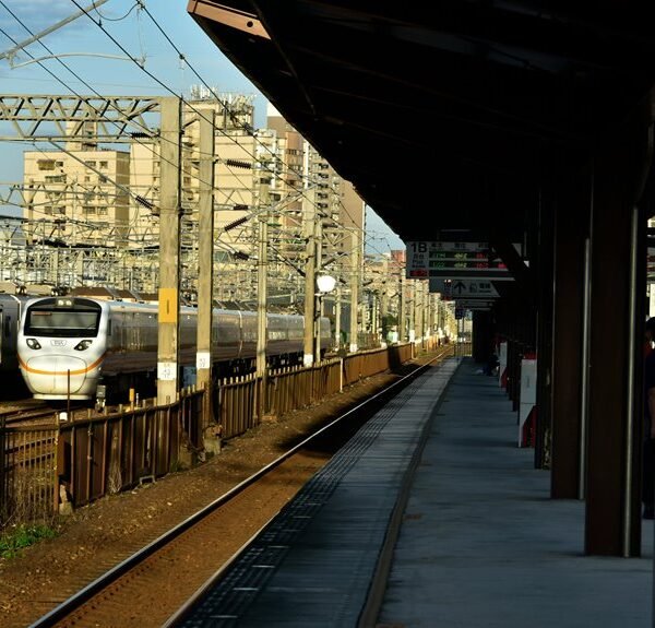 Next-Level Digital Hub 112523881 Online Network