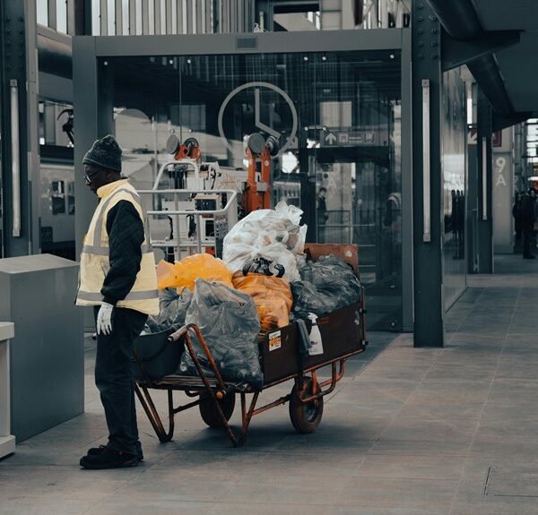 Next-Level Digital Hub 911419297 Online Platform